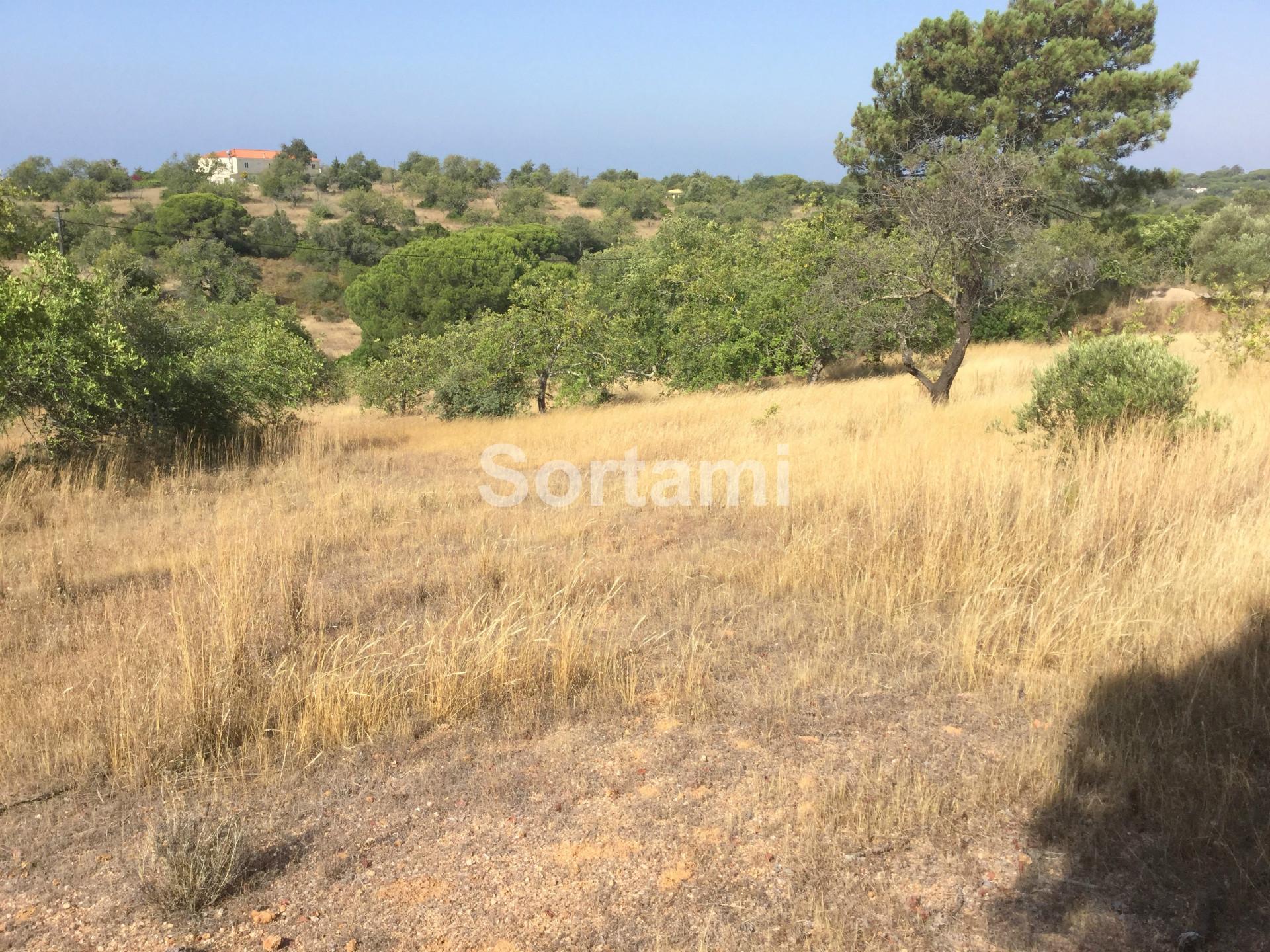 Terreno Para Construção  Venda em Almancil,Loulé