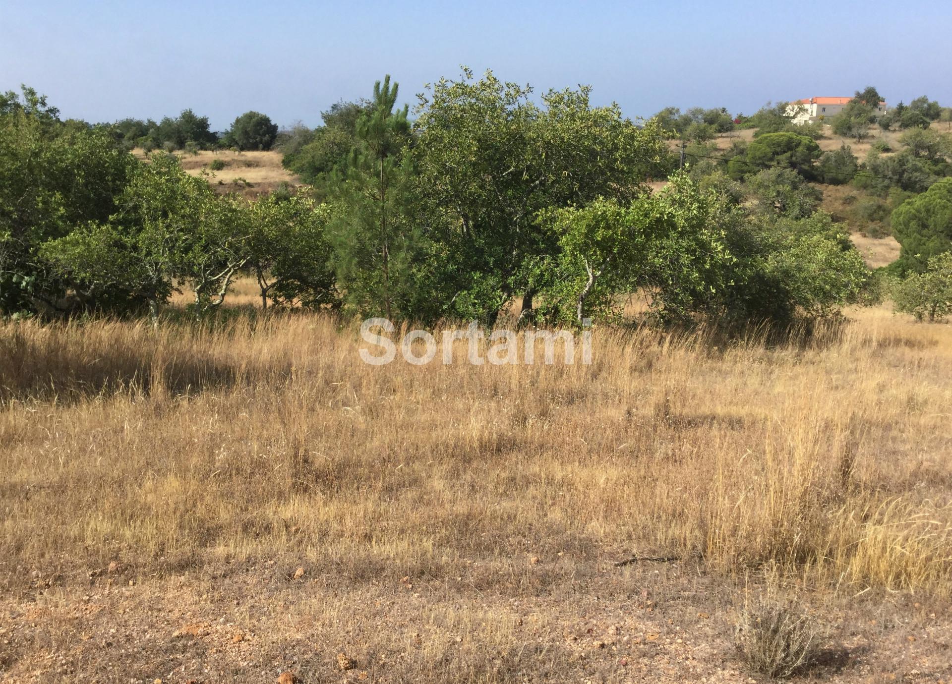 Terreno Para Construção  Venda em Almancil,Loulé