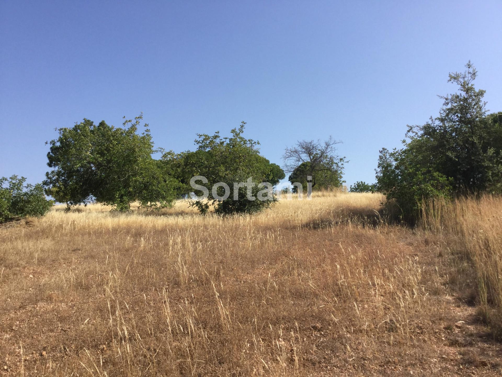 Terreno Para Construção  Venda em Almancil,Loulé