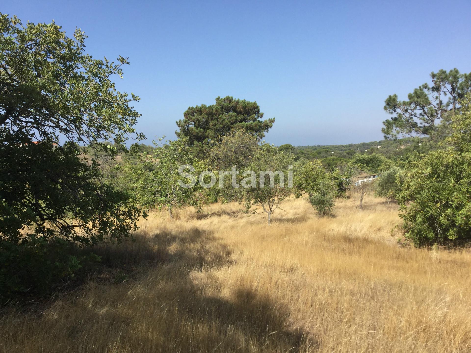 Terreno Para Construção  Venda em Almancil,Loulé