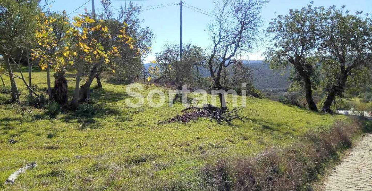 Terreno Rústico  Venda em São Brás de Alportel,São Brás de Alportel