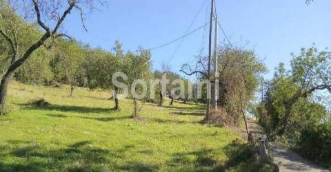 Terreno Rústico  Venda em São Brás de Alportel,São Brás de Alportel