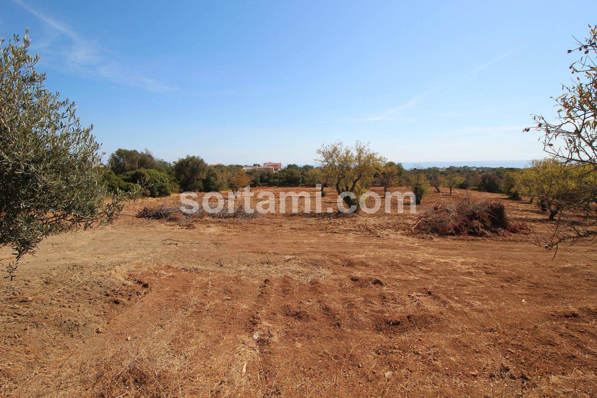 Terreno Rústico  Venda em Albufeira e Olhos de Água,Albufeira