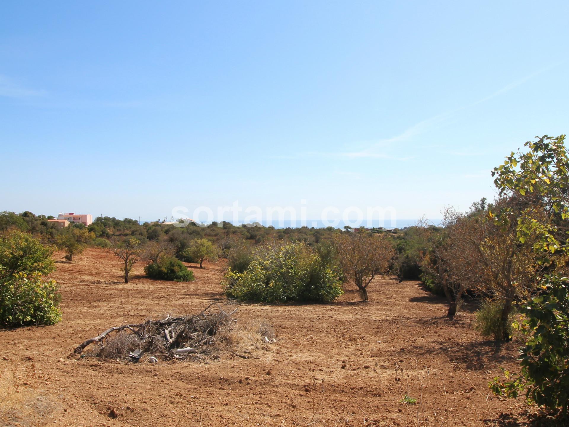 Terreno Rústico  Venda em Albufeira e Olhos de Água,Albufeira