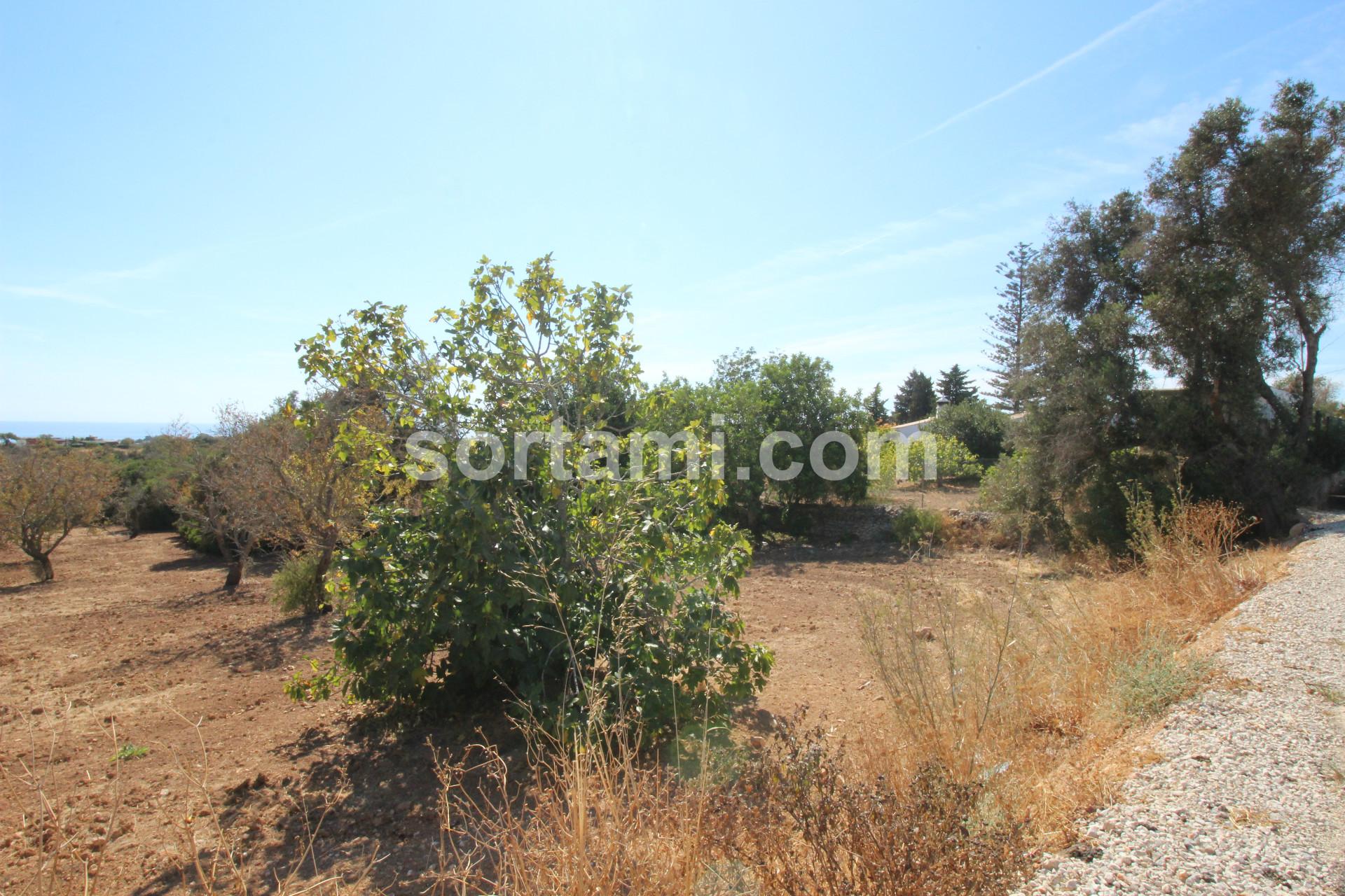 Terreno Rústico  Venda em Albufeira e Olhos de Água,Albufeira