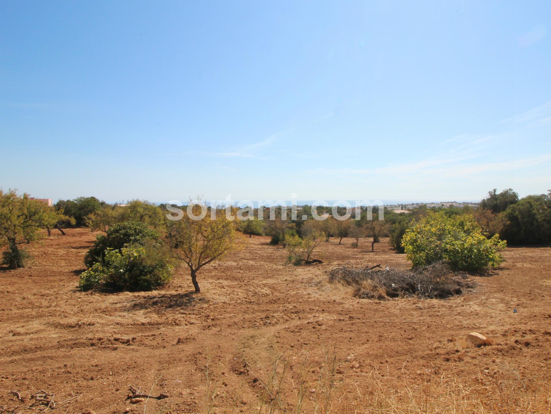 Terreno Rústico  Venda em Albufeira e Olhos de Água,Albufeira