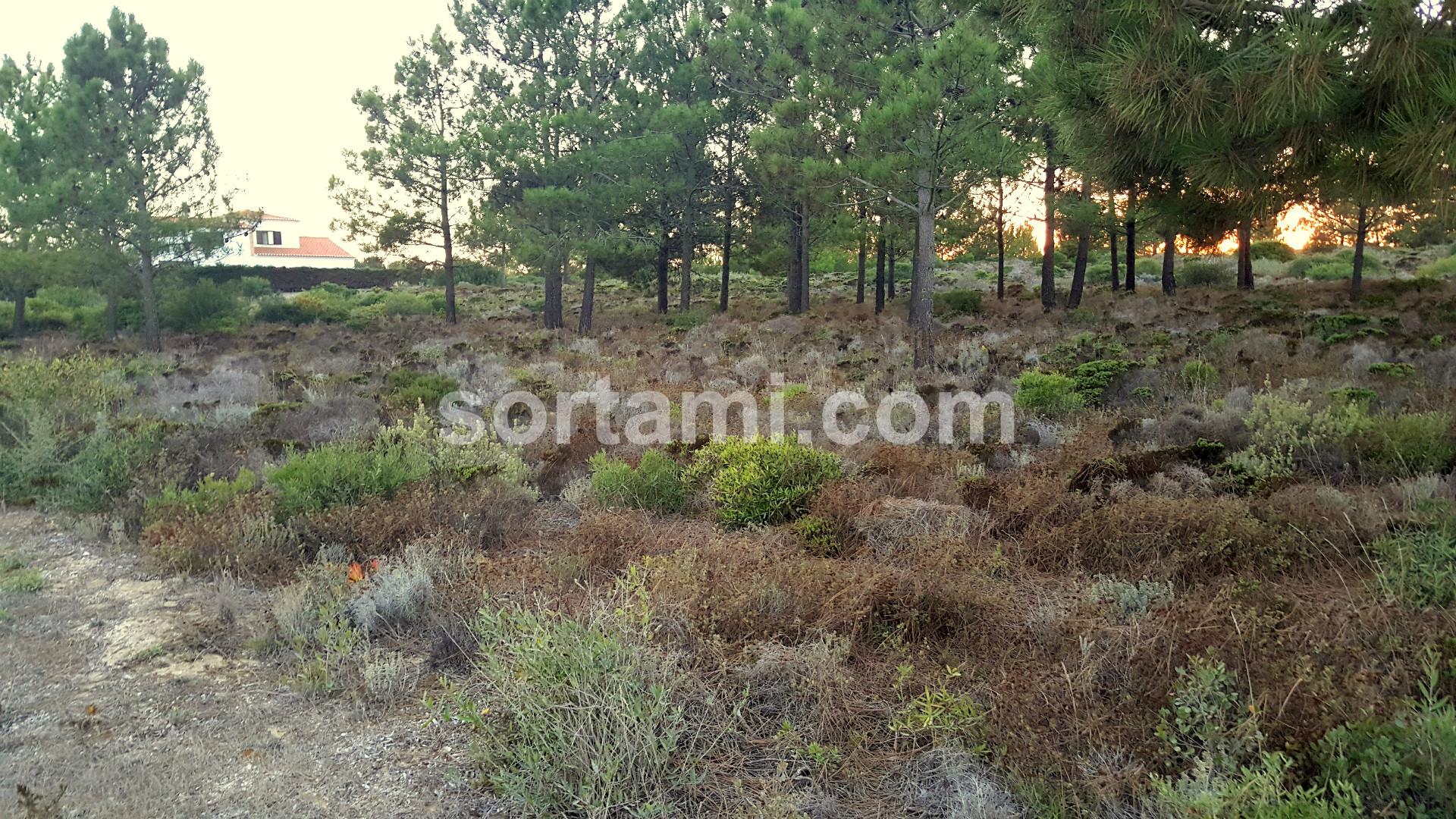 Terreno Para Construção  Venda em Aljezur,Aljezur