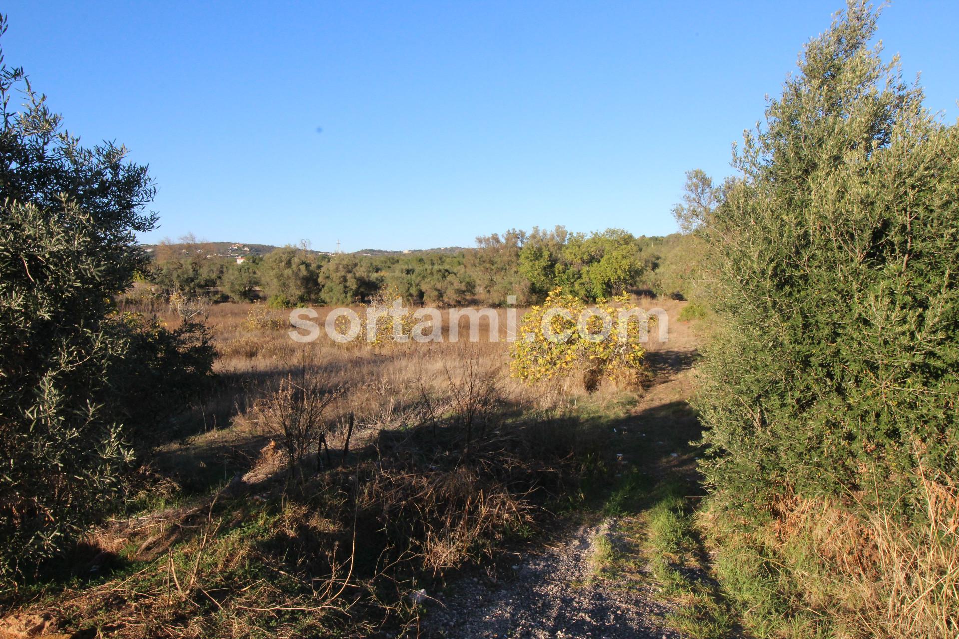 Terreno Para Construção  Venda em Boliqueime,Loulé