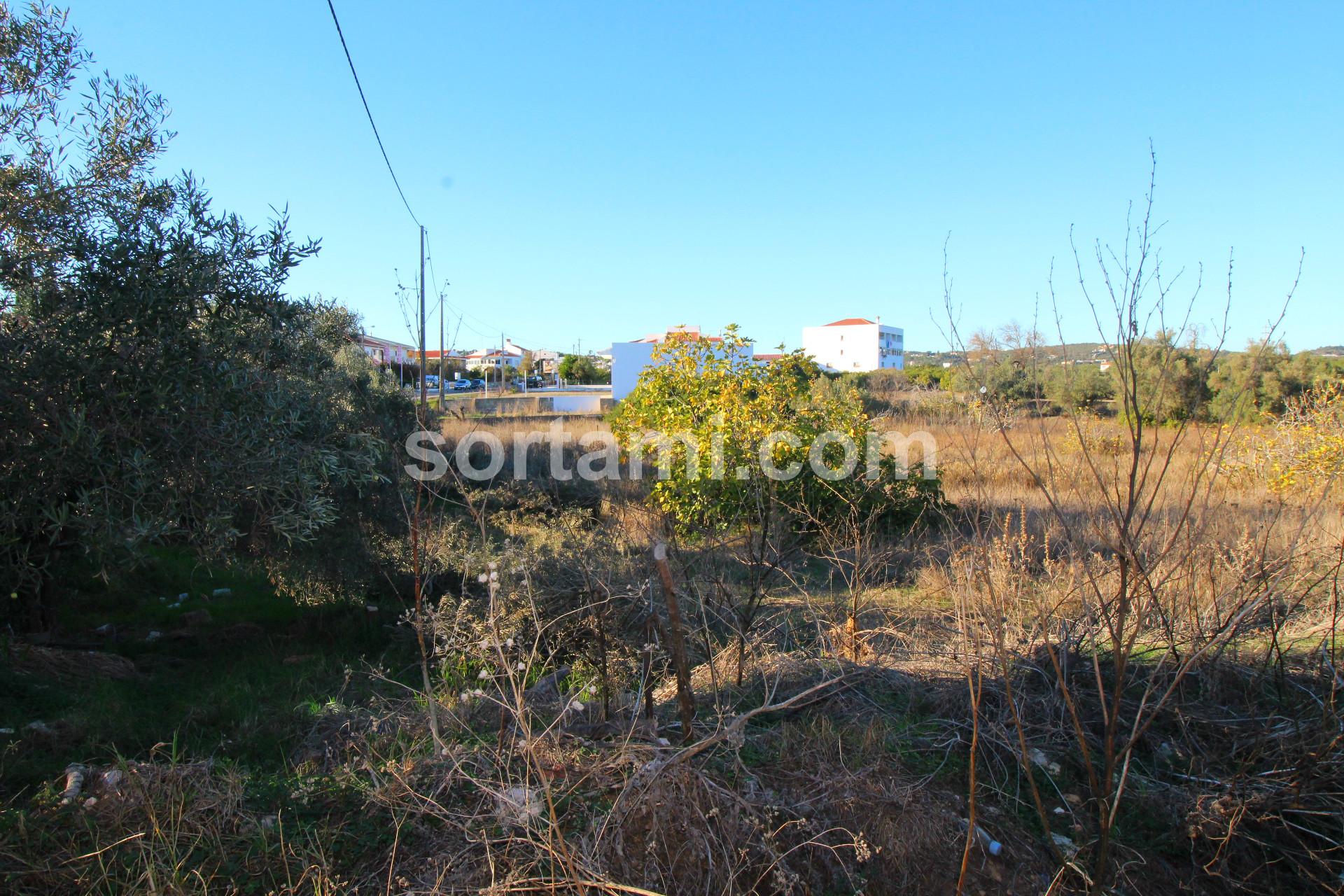 Terreno Para Construção  Venda em Boliqueime,Loulé