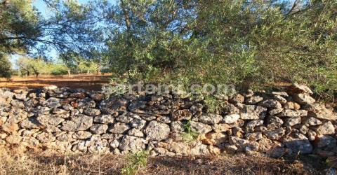 Terreno Para Construção  Venda em Boliqueime,Loulé