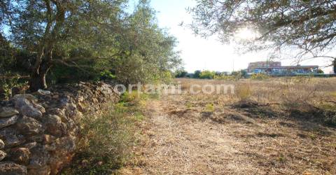 Terreno Para Construção  Venda em Boliqueime,Loulé