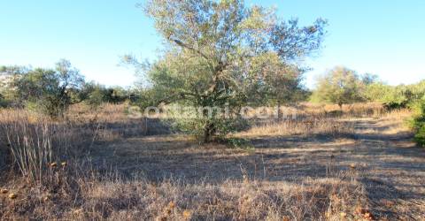 Terreno Para Construção  Venda em Boliqueime,Loulé
