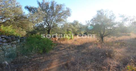 Terreno Para Construção  Venda em Boliqueime,Loulé