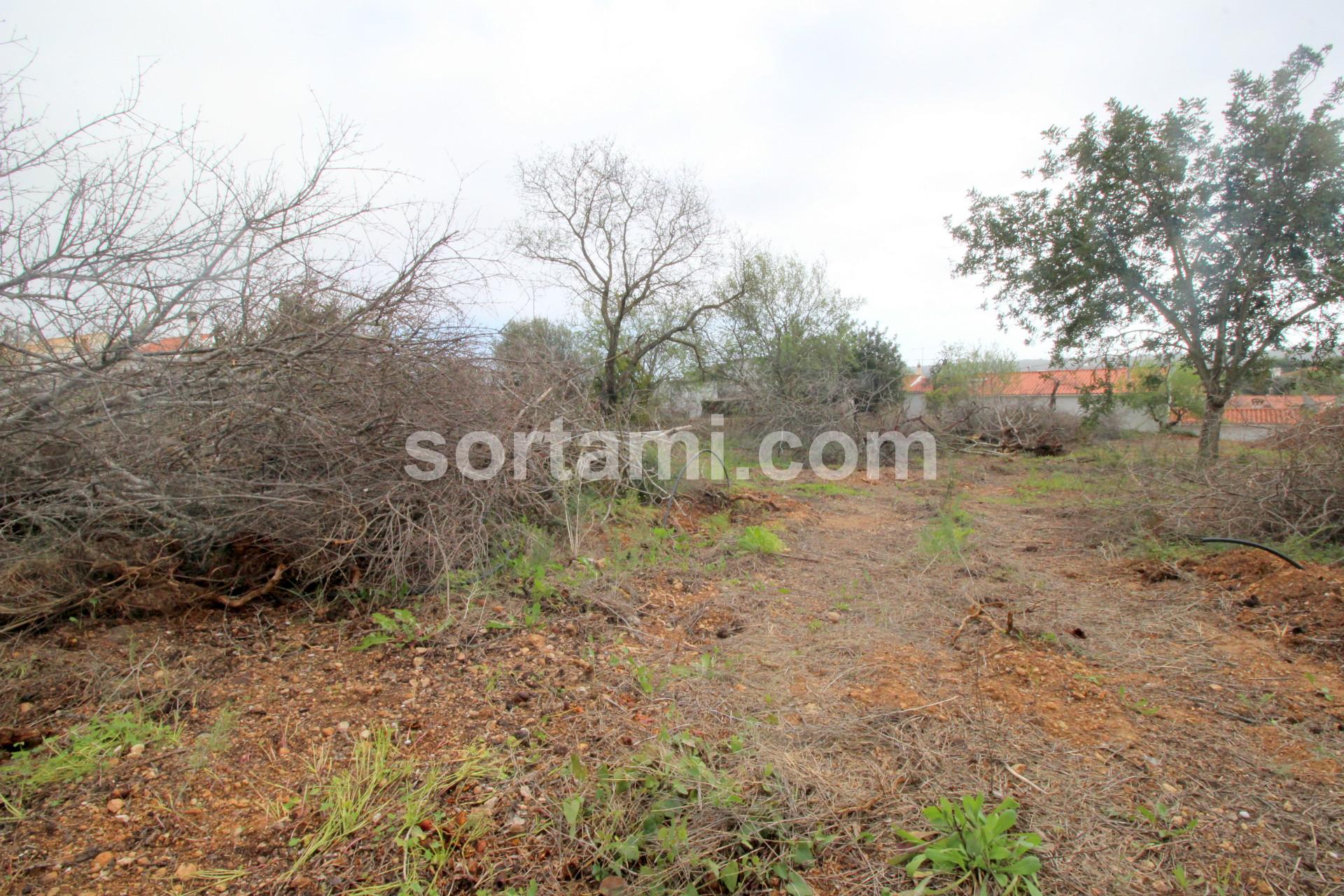 Terreno Para Construção  Venda em Loulé (São Sebastião),Loulé