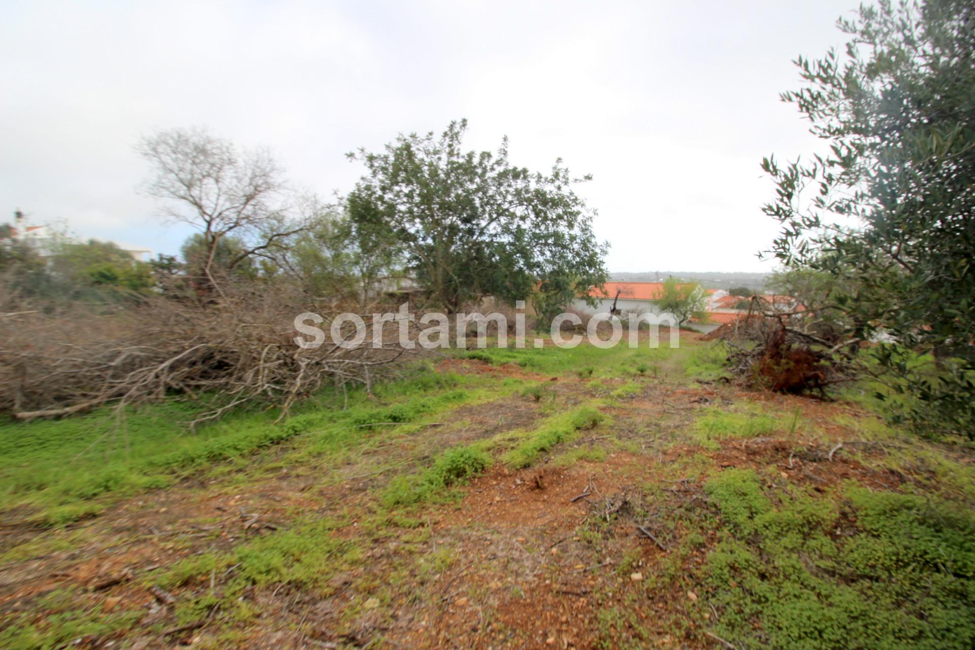 Terreno Para Construção  Venda em Loulé (São Sebastião),Loulé