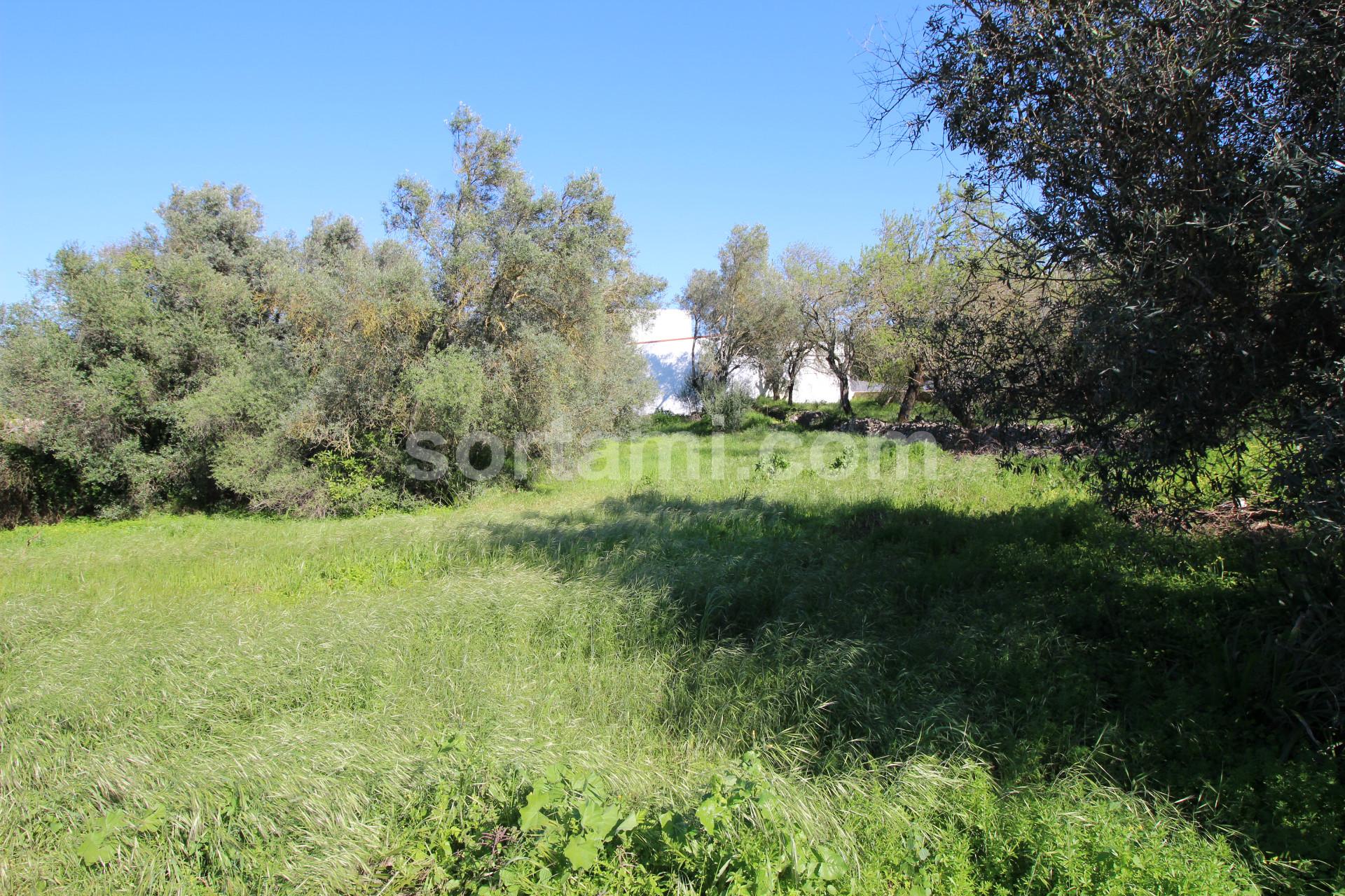 Terreno Para Construção  Venda em Loulé (São Sebastião),Loulé