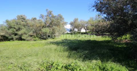 Terreno Para Construção  Venda em Loulé (São Sebastião),Loulé