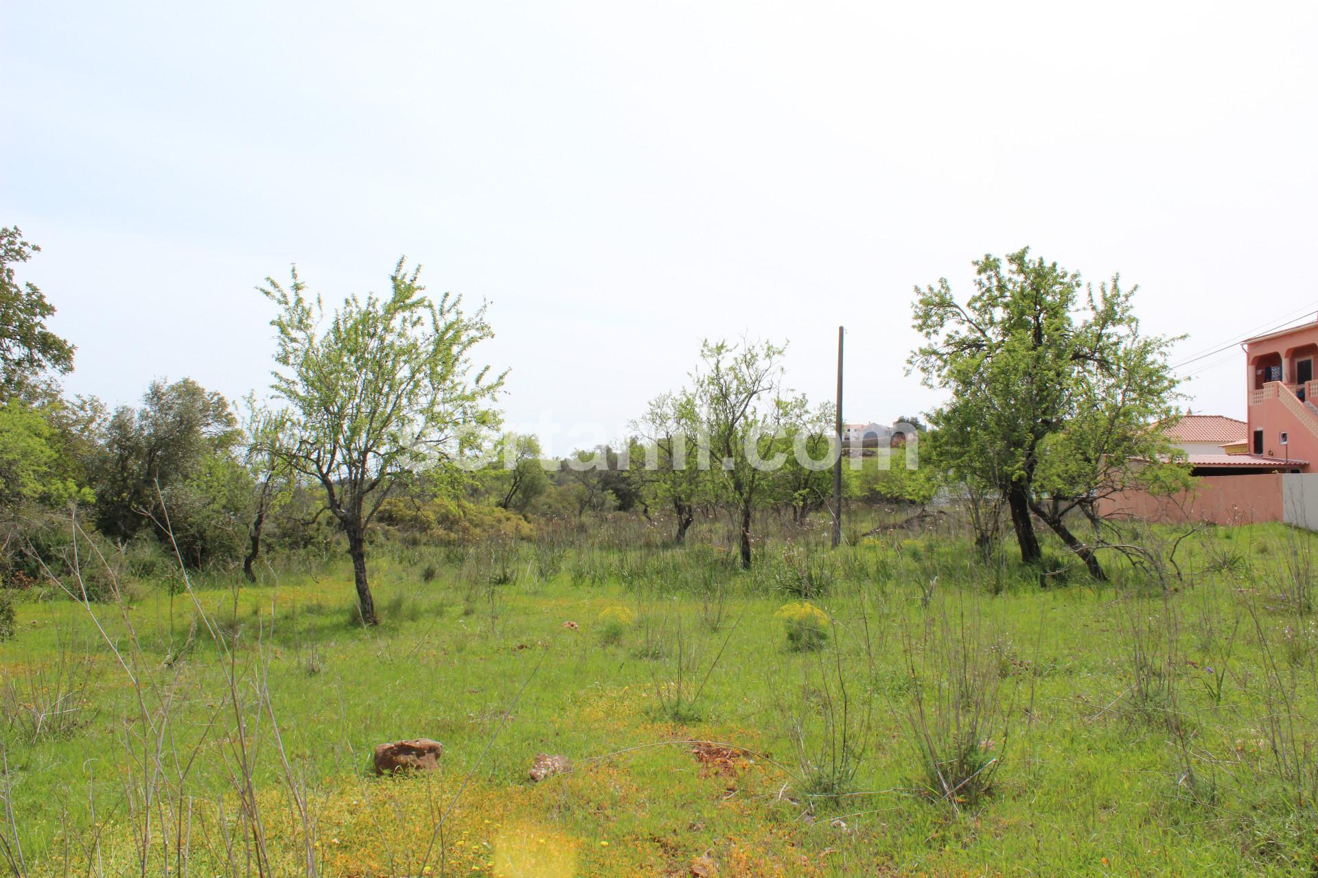 Lote de Terreno  Venda em São Bartolomeu de Messines,Silves