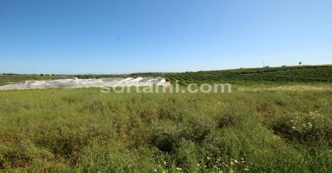 Moradia Isolada T6 Venda em Quelfes,Olhão