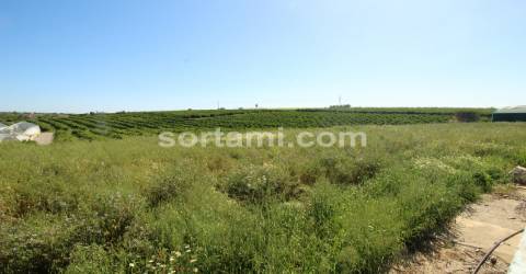 Moradia Isolada T6 Venda em Quelfes,Olhão