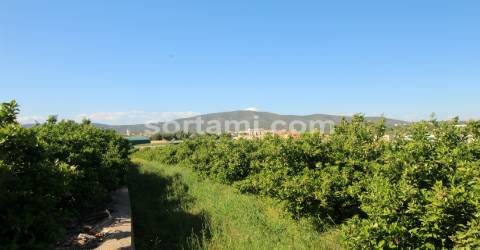 Moradia Isolada T6 Venda em Quelfes,Olhão