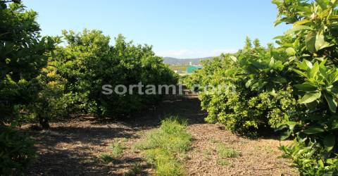 Moradia Isolada T6 Venda em Quelfes,Olhão