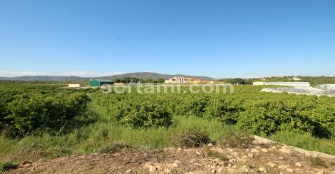 Moradia Isolada T6 Venda em Quelfes,Olhão