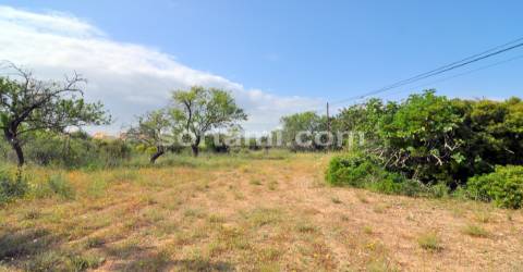 Terreno Rústico  Venda em Pechão,Olhão