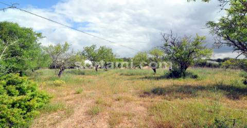 Terreno Rústico  Venda em Pechão,Olhão