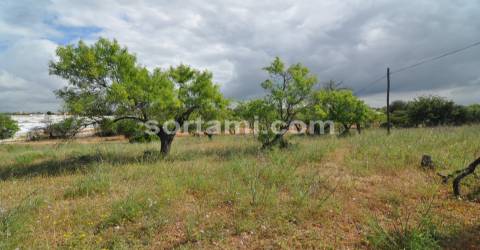 Terreno Rústico  Venda em Pechão,Olhão