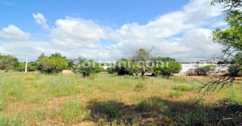 Terreno Rústico  Venda em Pechão,Olhão