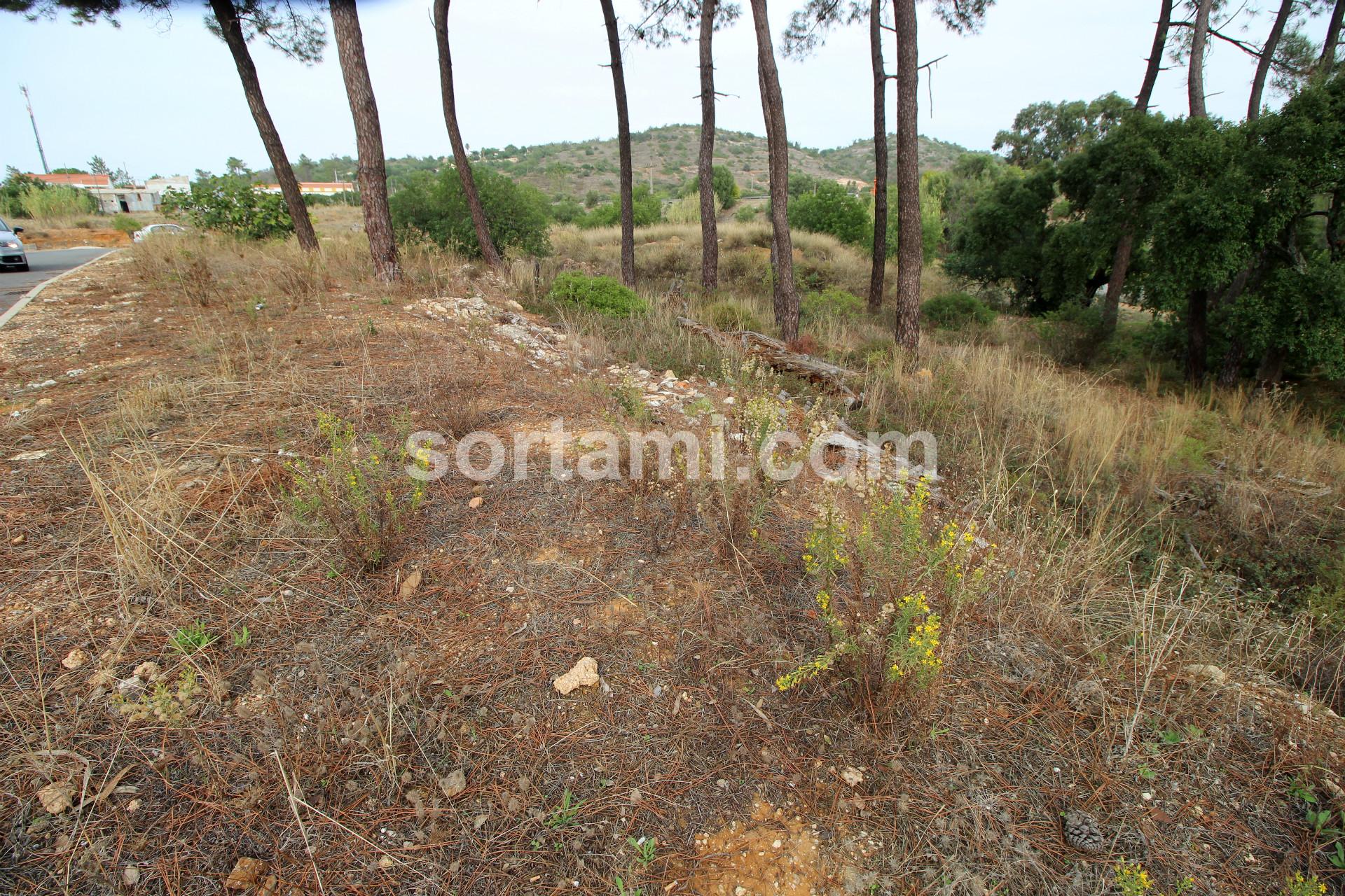 Terreno Para Construção  Venda em Algoz e Tunes,Silves