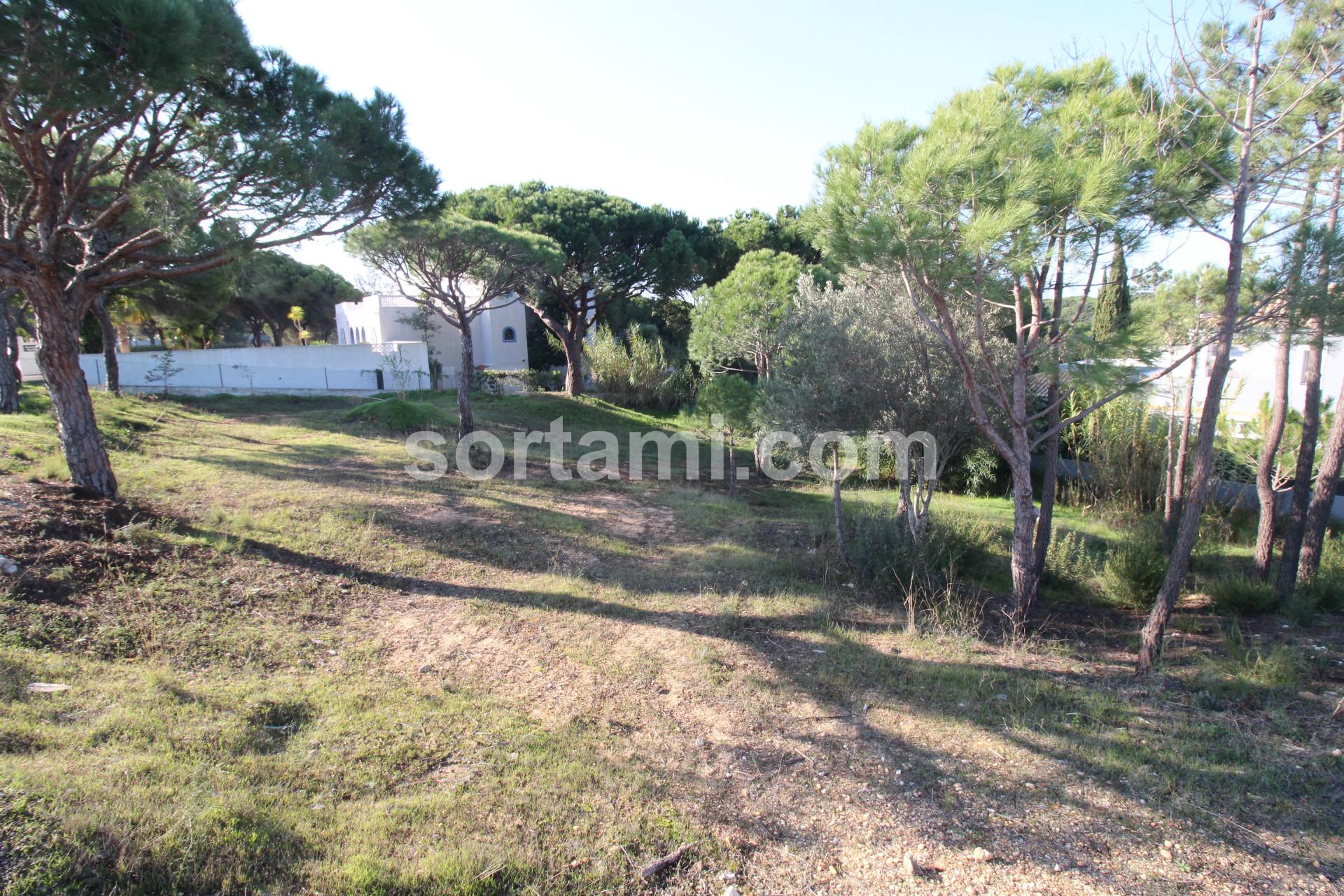 Terreno Para Construção  Venda em Almancil,Loulé