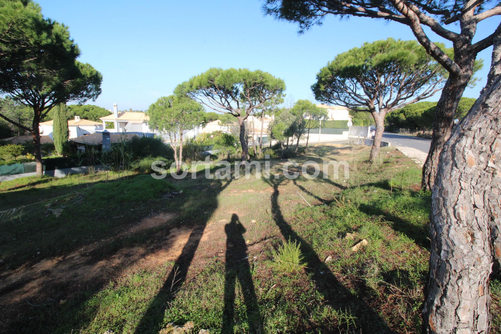 Terreno Para Construção  Venda em Almancil,Loulé