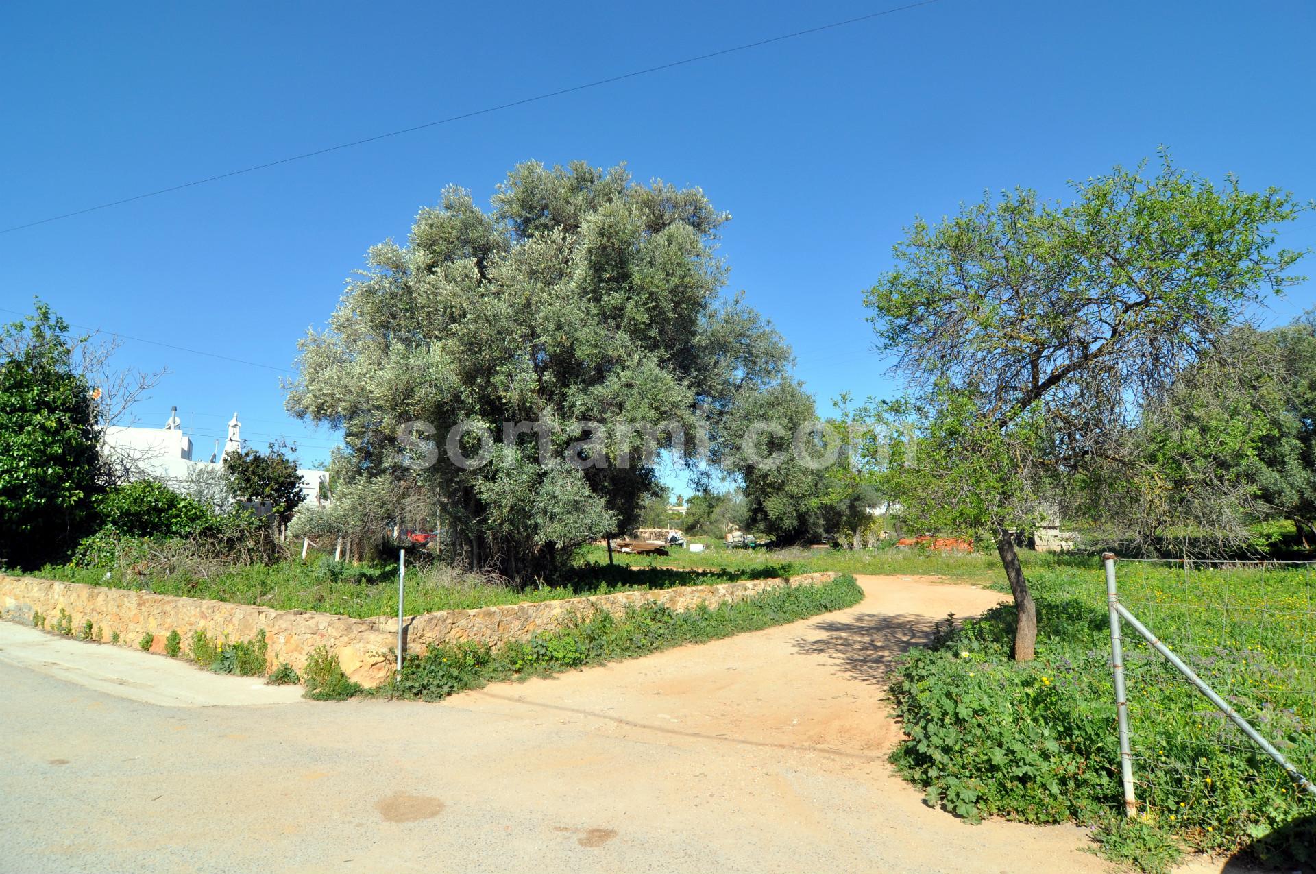 Terreno Para Construção  Venda em Almancil,Loulé