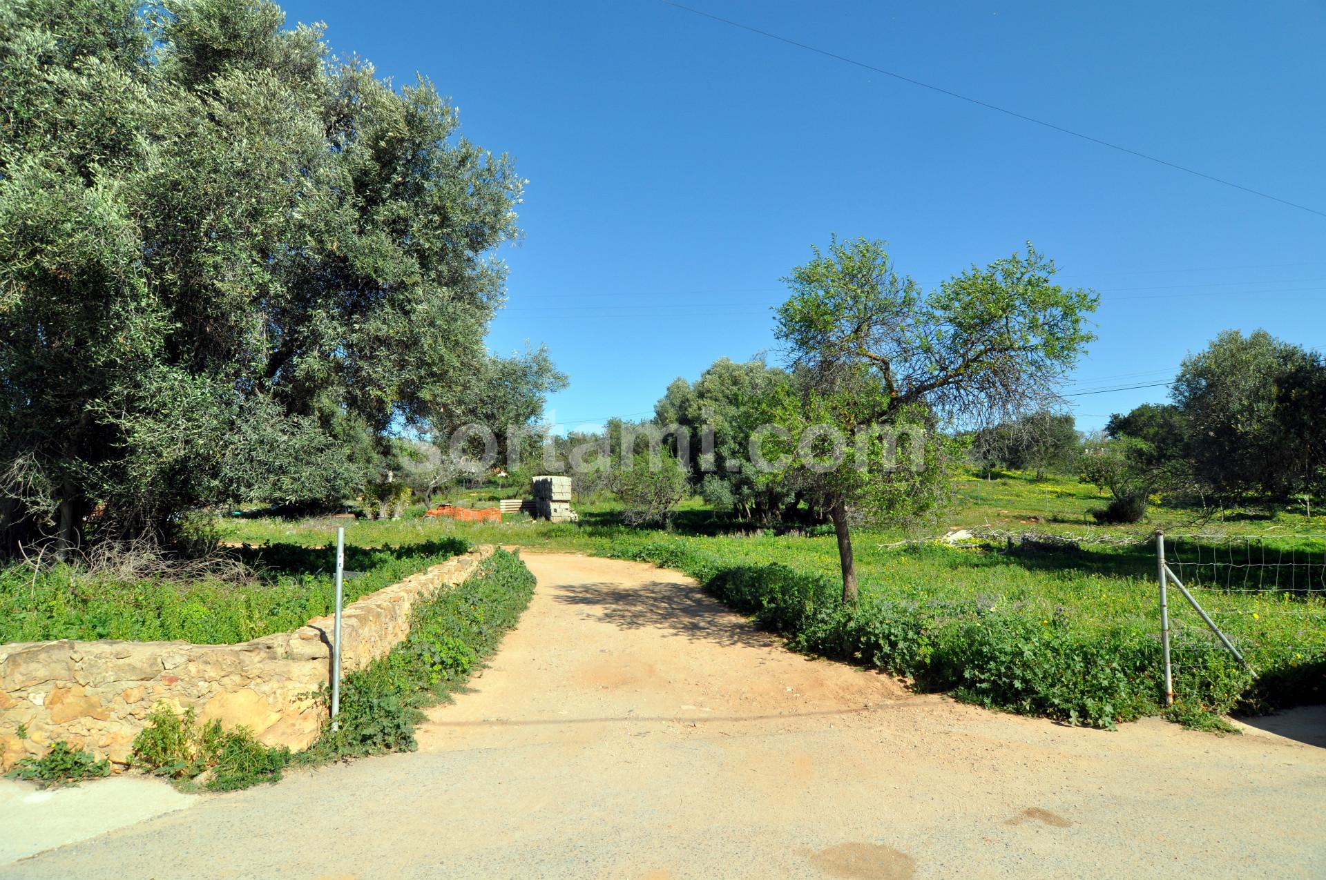 Terreno Para Construção  Venda em Almancil,Loulé