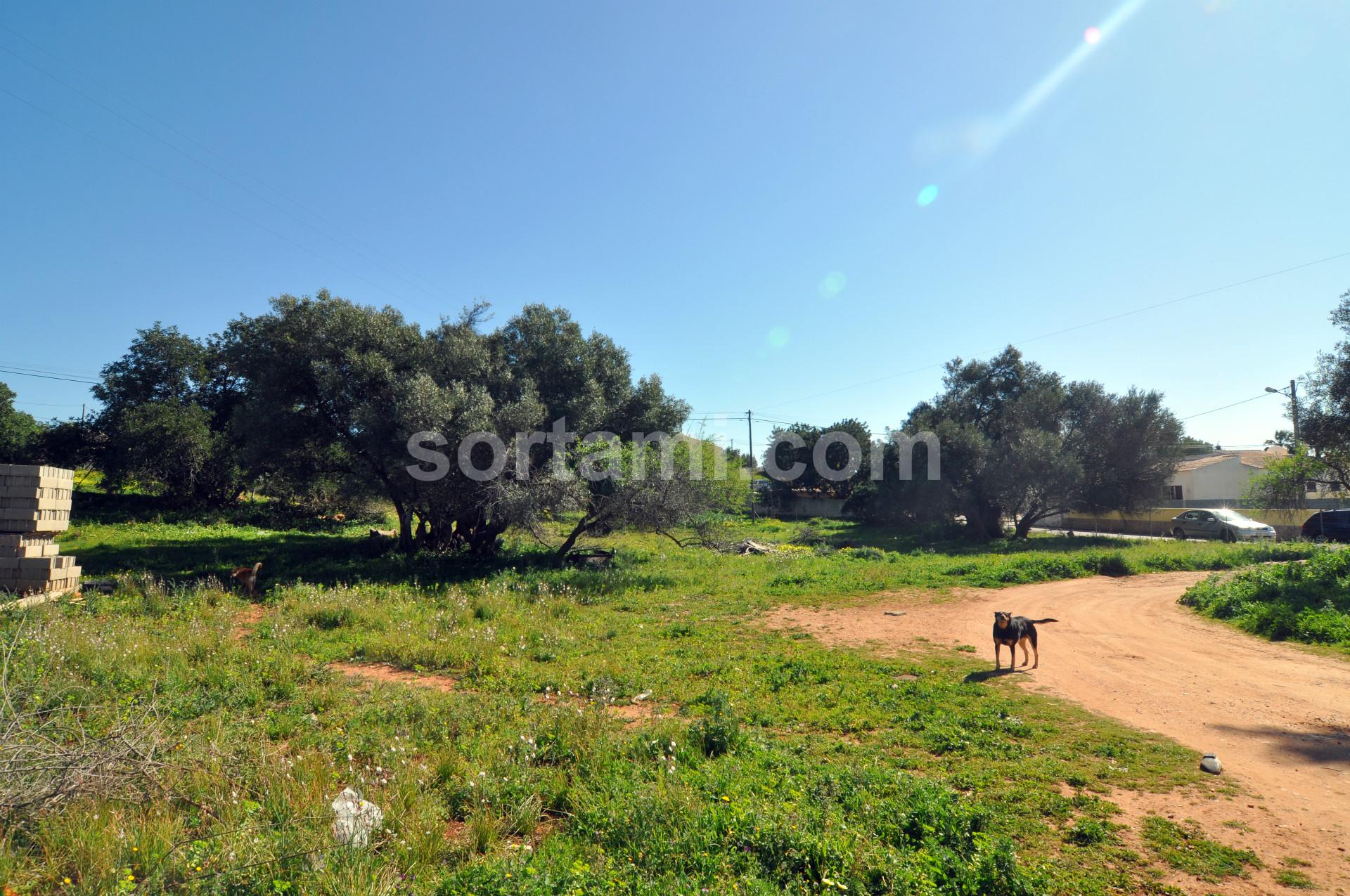 Terreno Para Construção  Venda em Almancil,Loulé