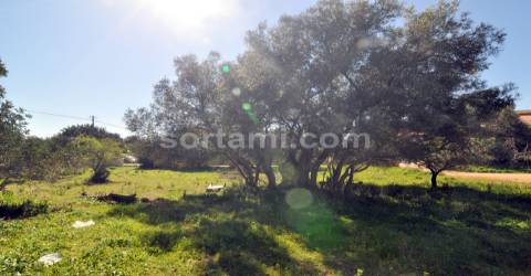 Terreno Para Construção  Venda em Almancil,Loulé