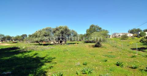 Terreno Para Construção  Venda em Almancil,Loulé