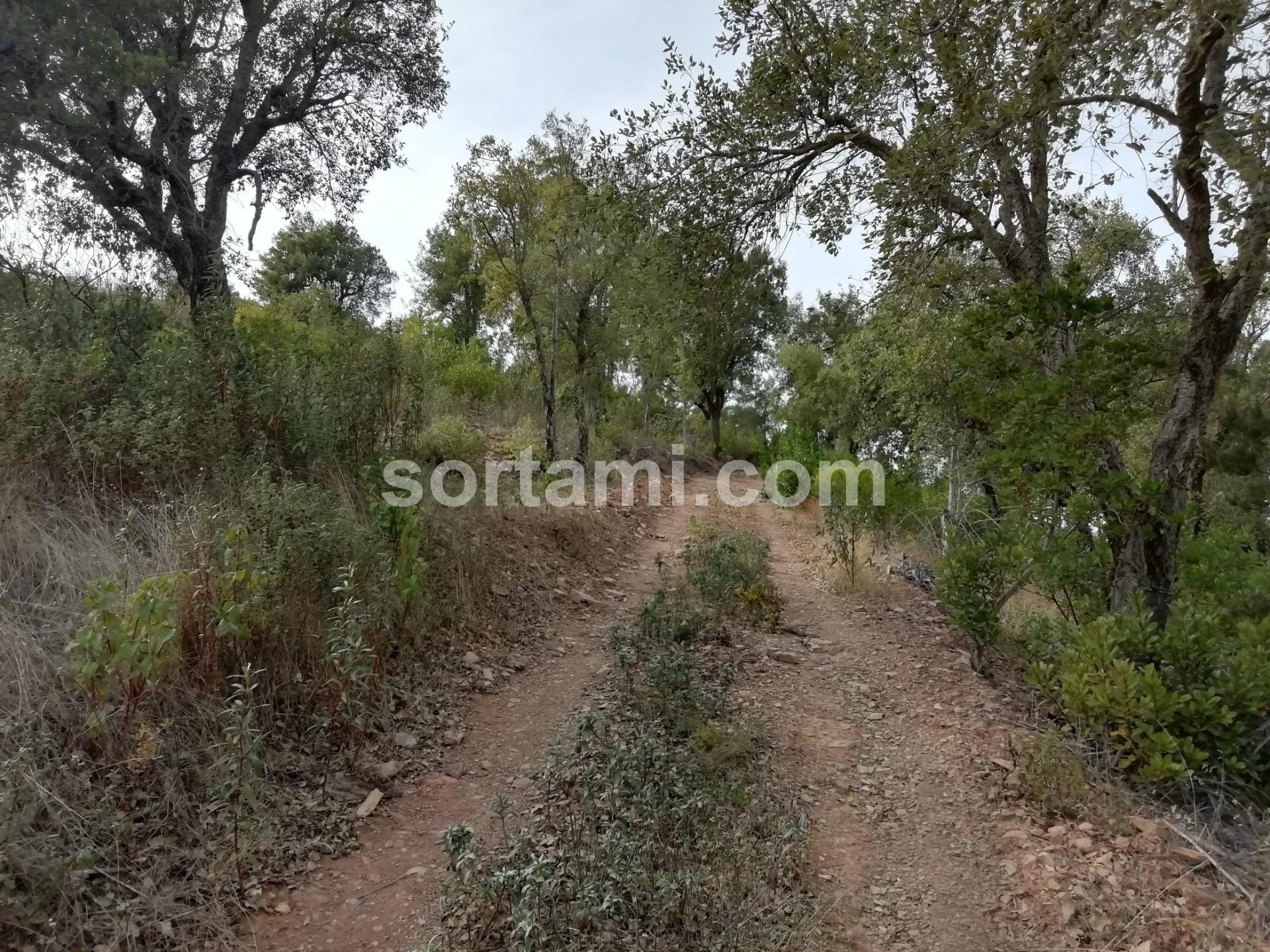 Terreno Para Construção  Venda em Almodôvar e Graça dos Padrões,Almodôvar