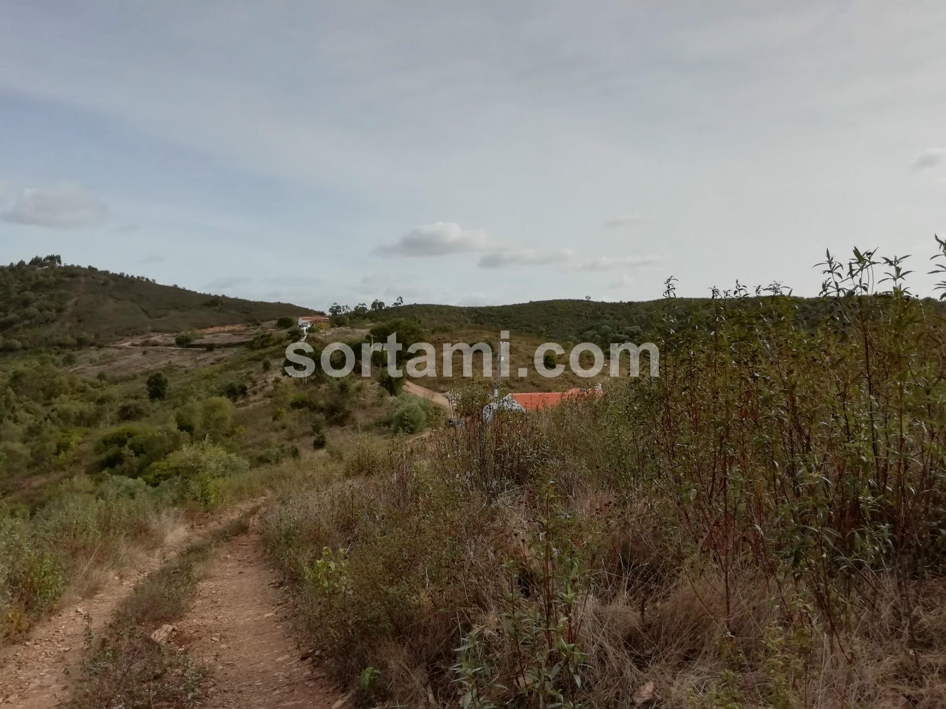 Terreno Para Construção  Venda em Almodôvar e Graça dos Padrões,Almodôvar