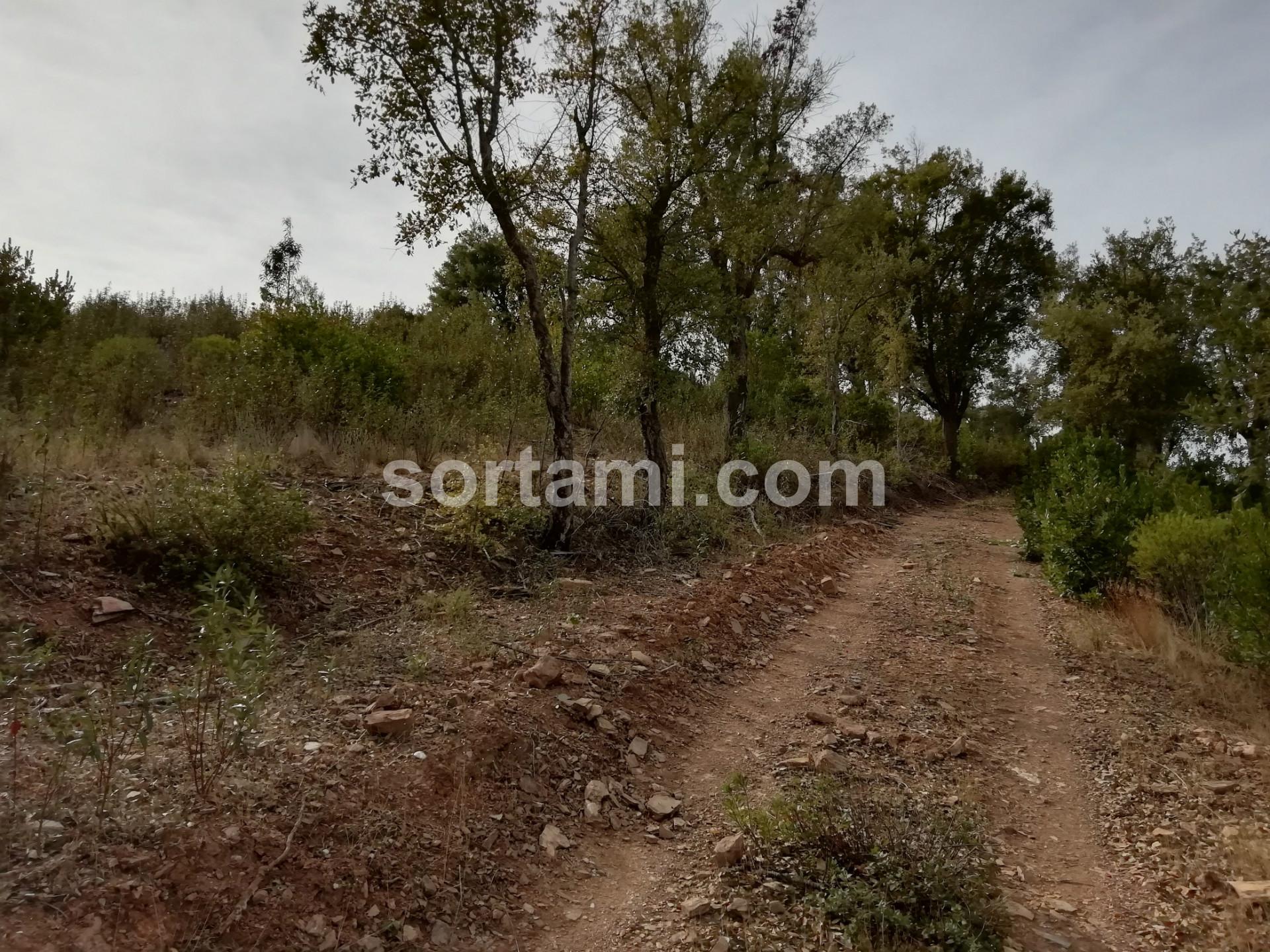 Terreno Para Construção  Venda em Almodôvar e Graça dos Padrões,Almodôvar