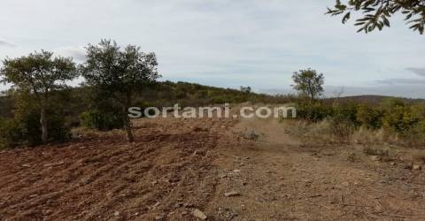 Terreno Para Construção  Venda em Almodôvar e Graça dos Padrões,Almodôvar