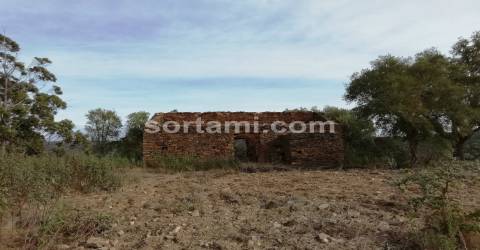 Terreno Para Construção  Venda em Almodôvar e Graça dos Padrões,Almodôvar