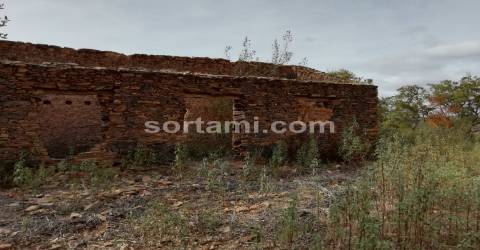 Terreno Para Construção  Venda em Almodôvar e Graça dos Padrões,Almodôvar
