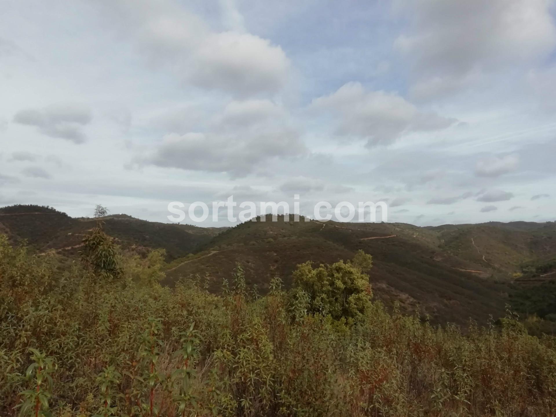 Terreno Para Construção  Venda em Almodôvar e Graça dos Padrões,Almodôvar