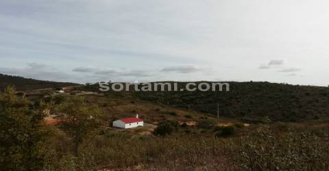 Terreno Para Construção  Venda em Almodôvar e Graça dos Padrões,Almodôvar