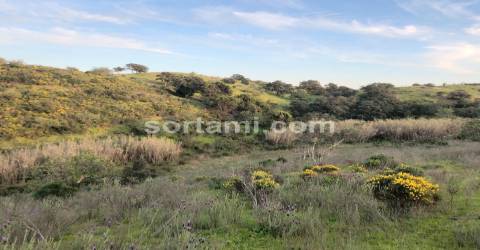 Terreno Rústico  Venda em Castro Marim,Castro Marim