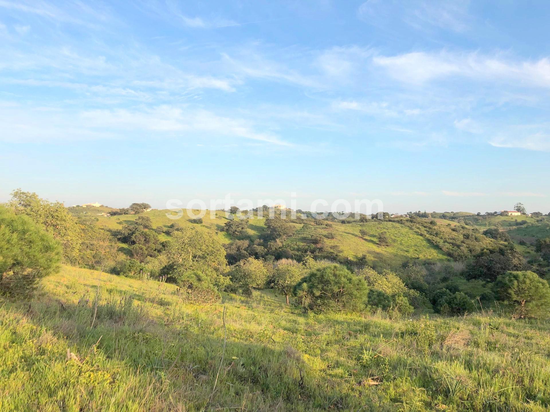 Terreno Rústico  Venda em Castro Marim,Castro Marim