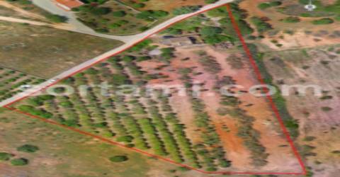 Terreno Para Construção  Venda em Albufeira e Olhos de Água,Albufeira